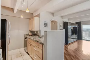 1433 N Williams St, Denver, CO 80218 - Photo 13