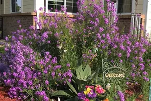 6810 Simms Ct, Arvada, CO 80004 - Photo 43