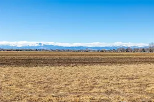 1875 Rancher Dr, Milliken, CO 80543 - Photo 43