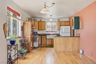 398 Aspen Dr, Bailey, CO 80421 - Photo 5