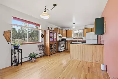 398 Aspen Drive, Bailey, CO 80421 - Photo 7