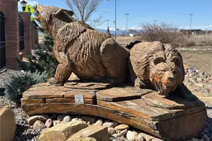 7208 Dolores Ave, Frederick, CO 80530 - Photo 13