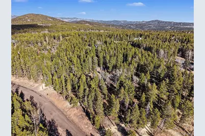 31552 Griffin Drive, Conifer, CO 80433 - Photo 29