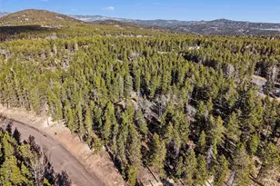 31552 Griffin Dr, Conifer, CO 80433 - Photo 29