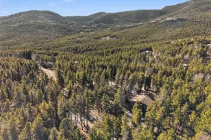 31552 Griffin Dr, Conifer, CO 80433 - Photo 3