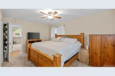 212 Burgess Drive, Castle Rock, CO 80104 - Photo 17