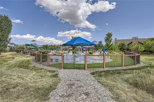 1105 Melting Snow Way, Castle Rock, CO 80109 - Photo 49