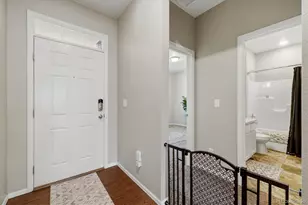 326 Jay Ave, Windsor, CO 80550 - Photo 5