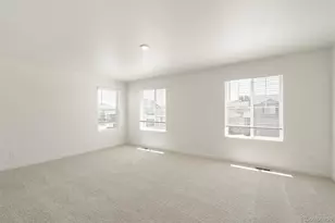 982 Tallus St, Lochbuie, CO 80603 - Photo 19