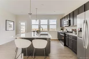 13322 Lady Bug Ln, Firestone, CO 80504 - Photo 11