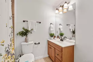 392 Fir Ln, Broomfield, CO 80020 - Photo 29