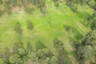 11840 Elkhorn Dr, Franktown, CO 80116 - Photo 29