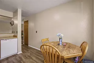 999 S Miller St, Denver, CO 80226 - Photo 9