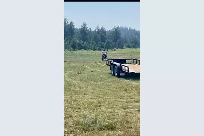 127 Sedgewich Drive, Hartsel, CO 80449 - Photo 1