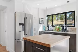 8424 Armadillo Trail, Evergreen, CO 80439 - Photo 17