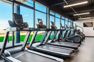 3993 Breakcamp Ct, Castle Rock, CO 80108 - Photo 43