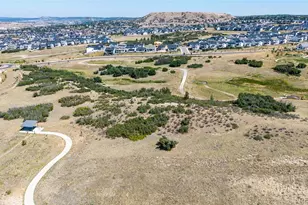 140 Leafy Aster Ln, Castle Rock, CO 80104 - Photo 43