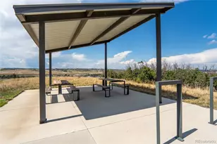 140 Leafy Aster Ln, Castle Rock, CO 80104 - Photo 41