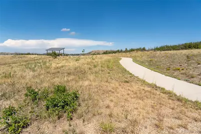 140 Leafy Aster Lane, Castle Rock, CO 80104 - Photo 39