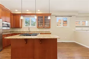 1263 N Washington St, Denver, CO 80203 - Photo 9