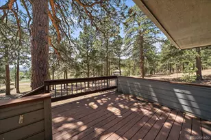395 Spring Ranch Dr, Golden, CO 80401 - Photo 45