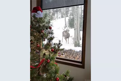 2080 Santa Fe Mountain Road, Evergreen, CO 80439 - Photo 49