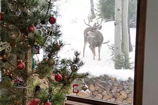 2080 Santa Fe Mountain Rd, Evergreen, CO 80439 - Photo 49