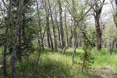 00 Quartz Hill Road, Central City, CO 80427 - Photo 19