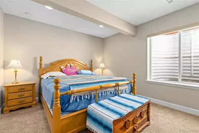 10222 Atlanta Street, Parker, CO 80134 - Photo 27