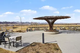 9212 Star Fall Cir, Littleton, CO 80125 - Photo 43