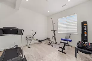 9212 Star Fall Cir, Littleton, CO 80125 - Photo 39