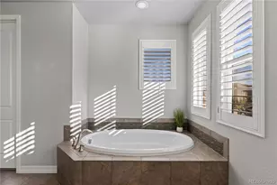 3793 Spanish Oaks Trail, Castle Rock, CO 80108 - Photo 29