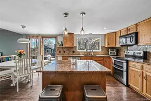 8641 Snowbrush Ln, Highlands Ranch, CO 80126 - Photo 11