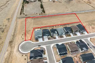 8599 Yellowcress St, Littleton, CO 80125 - Photo 37