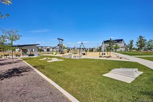 8599 Yellowcress St, Littleton, CO 80125 - Photo 47