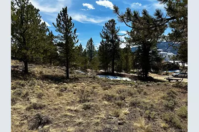 199 Twin Peaks Drive, Twin Lakes, CO 81251 - Photo 7