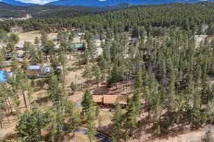 14 Aspen Dr, Bailey, CO 80421 - Photo 13