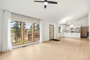 14 Aspen Dr, Bailey, CO 80421 - Photo 29
