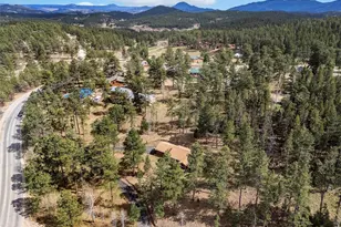 14 Aspen Dr, Bailey, CO 80421 - Photo 17