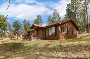 14 Aspen Dr, Bailey, CO 80421 - Photo 3