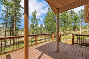 14 Aspen Dr, Bailey, CO 80421 - Photo 5