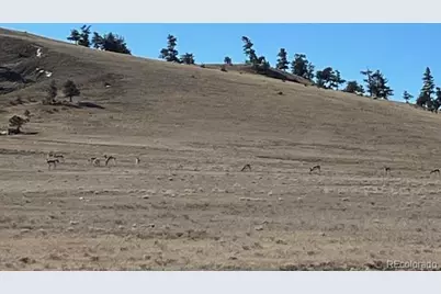 Tbd Highway 24, Hartsel, CO 80449 - Photo 15