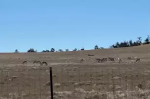 Tbd Hwy 24, Hartsel, CO 80449 - Photo 1