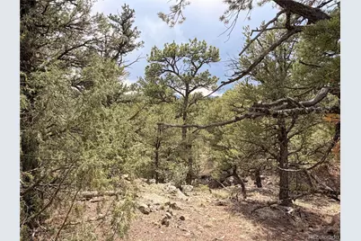 000 41st Trail, Cotopaxi, CO 81223 - Photo 19