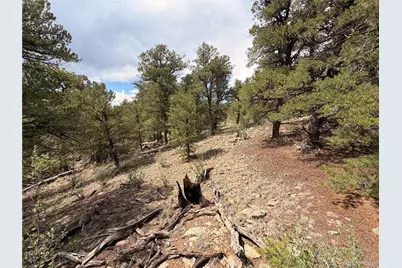 000 41st Trail, Cotopaxi, CO 81223 - Photo 7