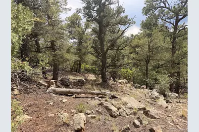 000 41st Trail, Cotopaxi, CO 81223 - Photo 15