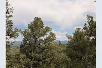 000 41st Trail, Cotopaxi, CO 81223 - Photo 9