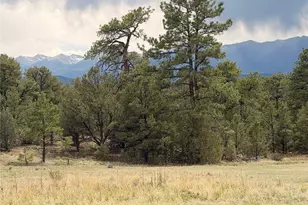 000 41st Trail, Cotopaxi, CO 81223 - Photo 1
