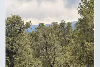 000 41st Trail, Cotopaxi, CO 81223 - Photo 11