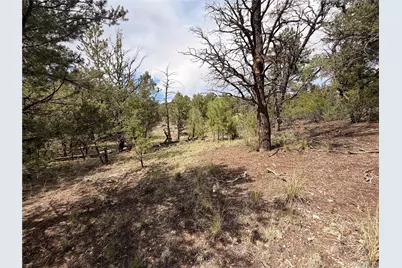000 41st Trail, Cotopaxi, CO 81223 - Photo 5